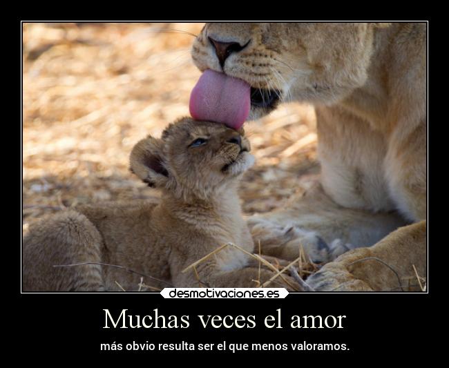 Muchas veces el amor - 