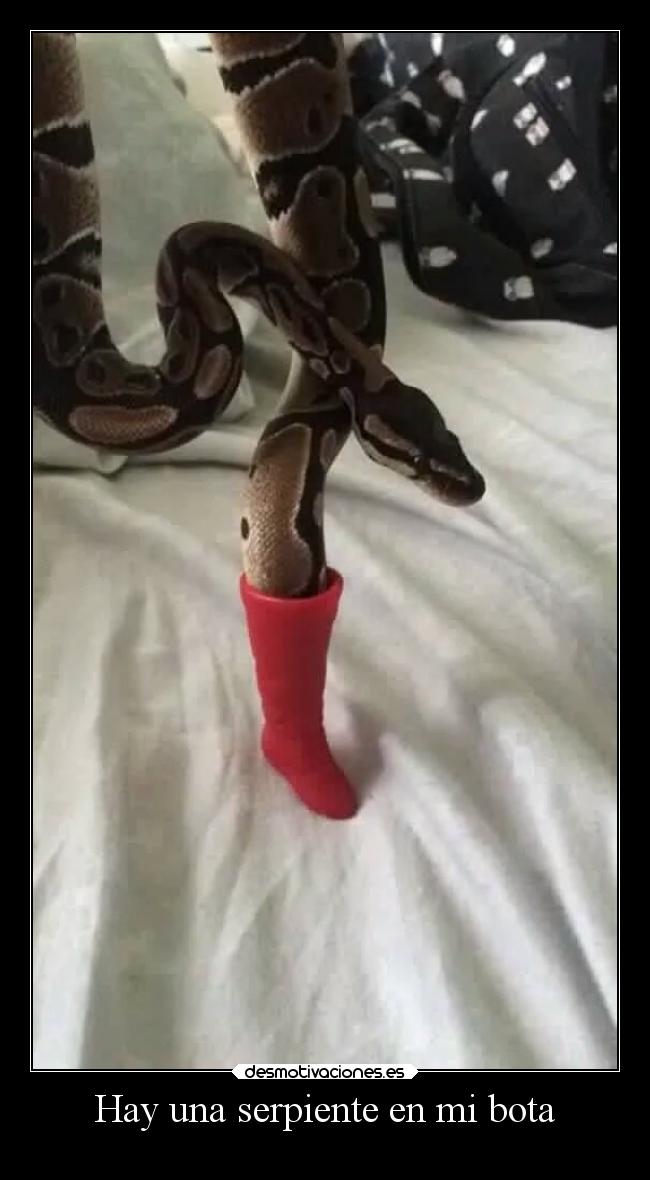 Hay una serpiente en mi bota -