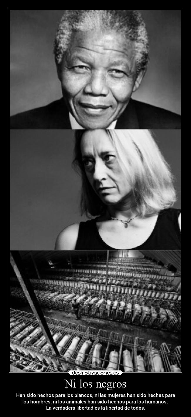 Ni los negros - Han sido hechos para los blancos, ni las mujeres han sido hechas para
los hombres, ni los animales han sido hechos para los humanos. 
La verdadera libertad es la libertad de todxs.