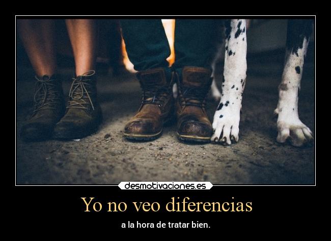 Yo no veo diferencias -