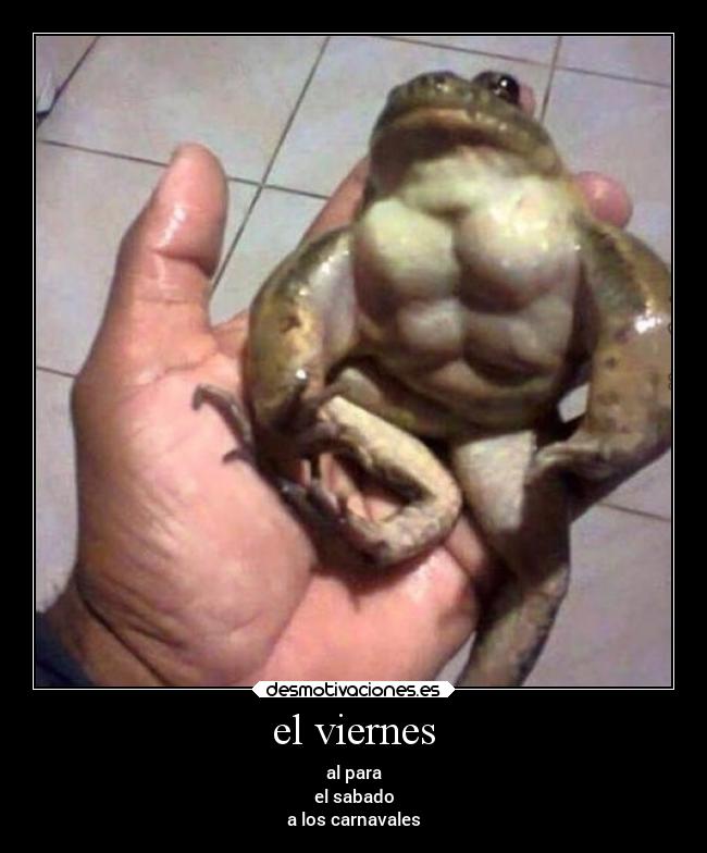 el viernes - 