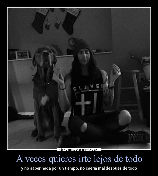 carteles ausencia desmotivaciones