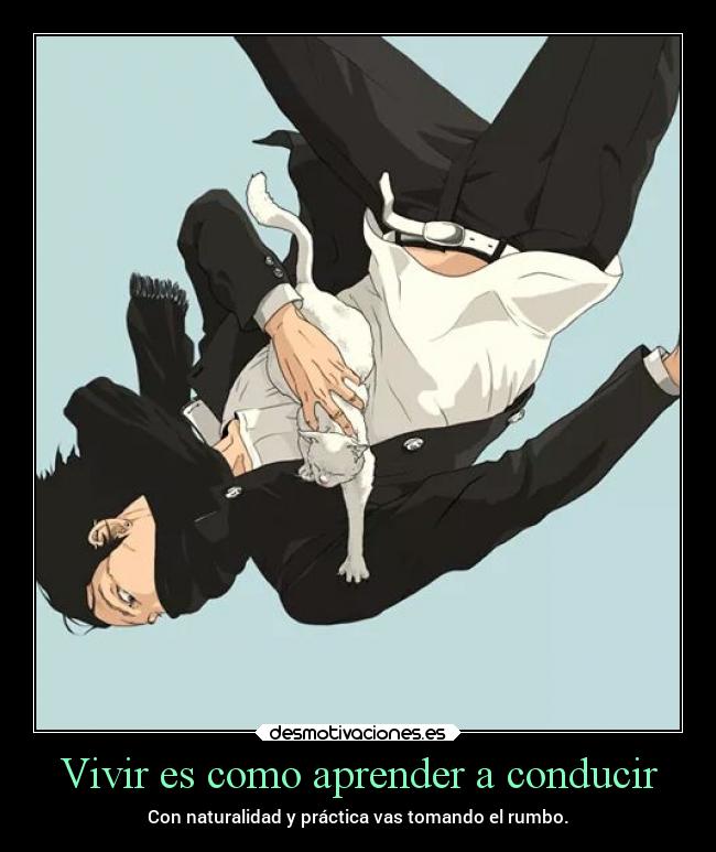 carteles confianza gatos anime desmotivaciones