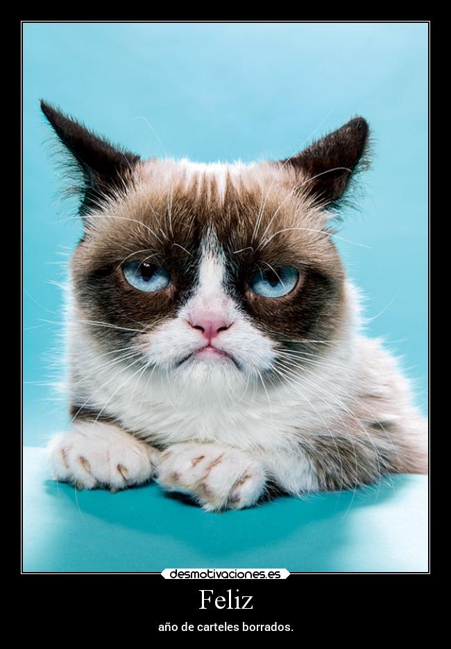 carteles desmotivaciones clandesplazado slipkdemon grumpy grumpycat niputagracia desmotivaciones