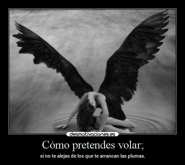 Cómo pretendes volar; - si no te alejas de los que te arrancan las plumas.