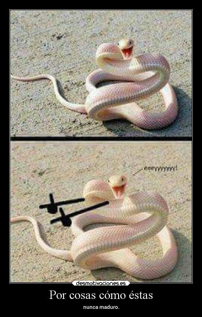 Por cosas cómo éstas -