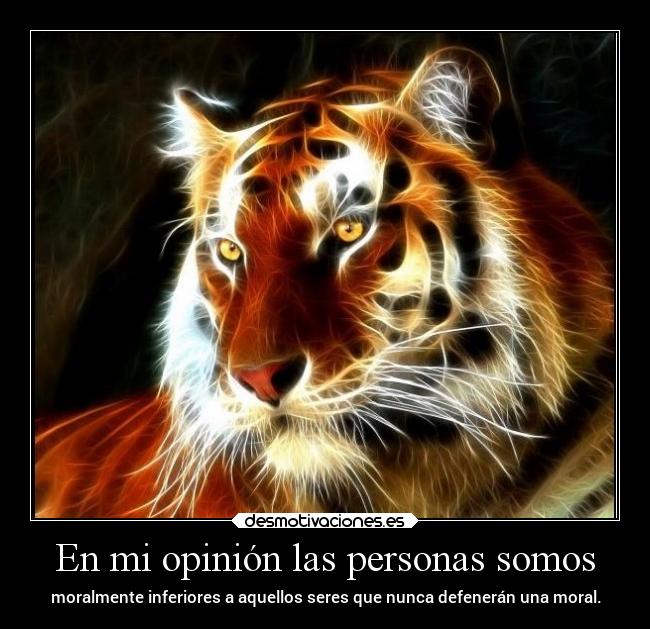 carteles desmotivaciones vida clandespalzado soyunidiotatm manada32 projectd desmotivaciones