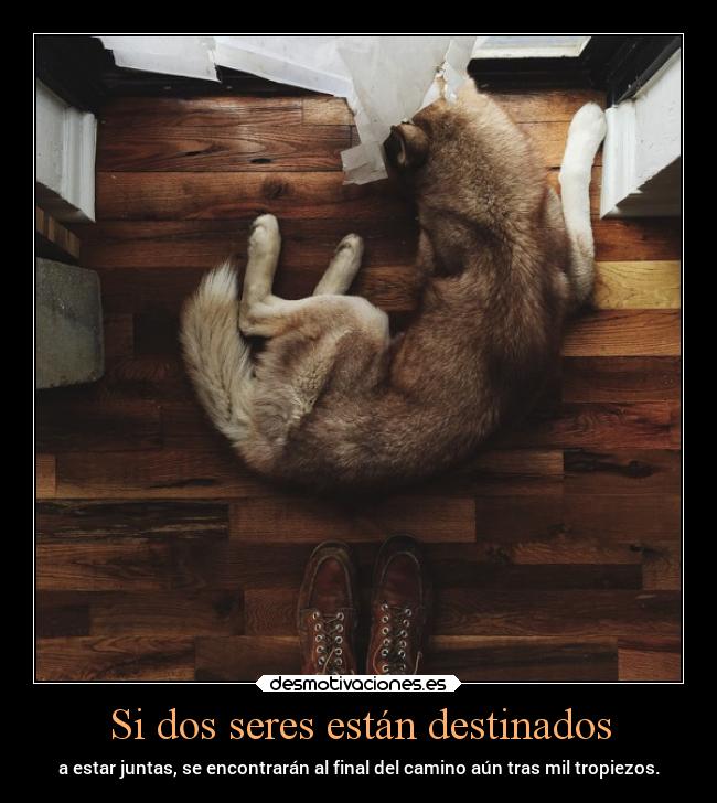 carteles desmotivaciones vida sentimientos soyunamunecadetrapo desmotivaciones