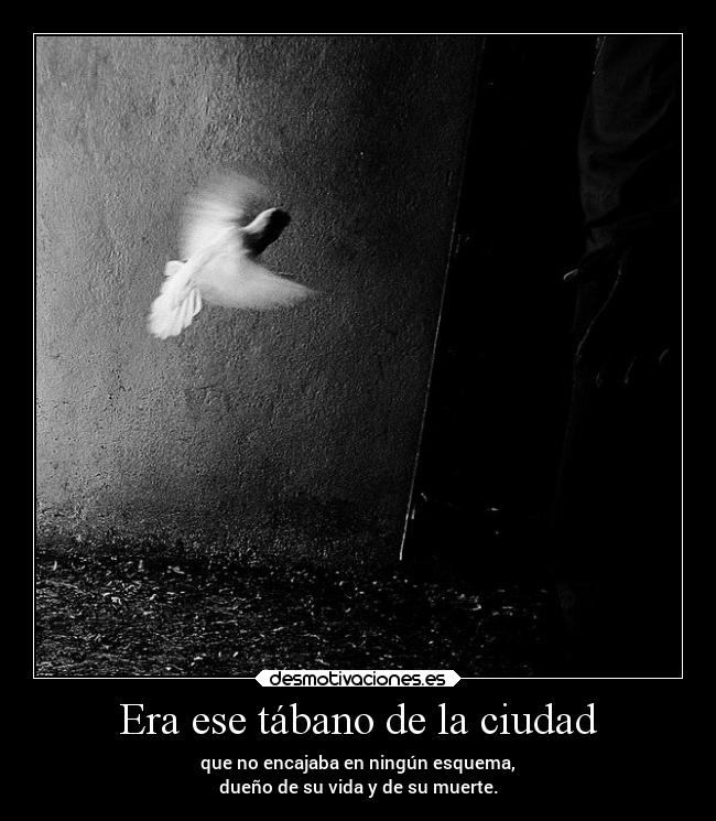 Era ese tábano de la ciudad - que no encajaba en ningún esquema,
dueño de su vida y de su muerte.