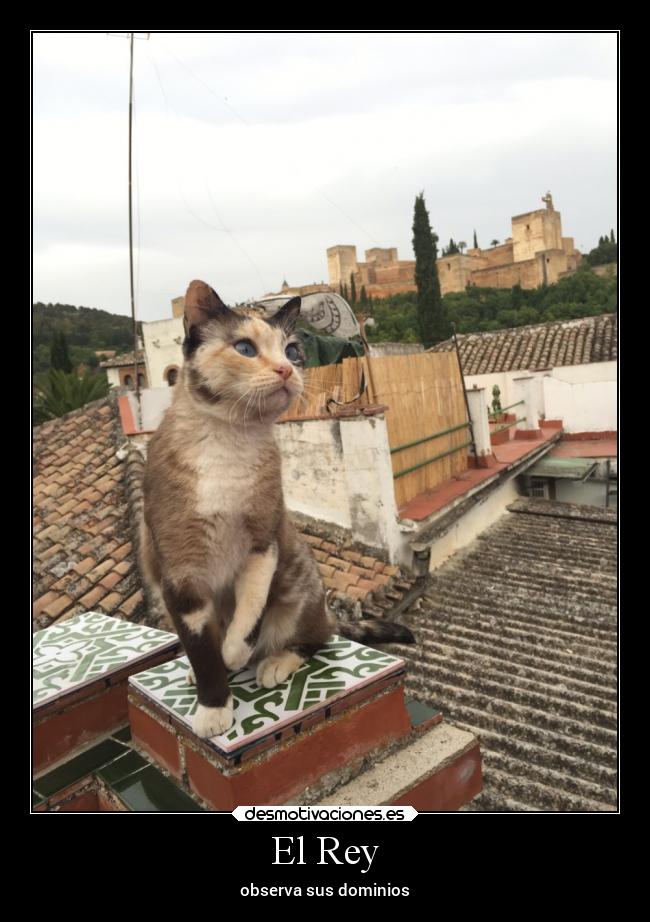 El Rey -