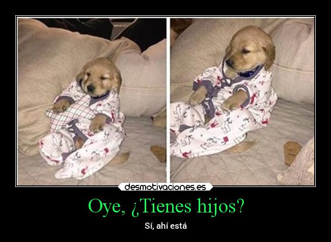 Oye, ¿Tienes hijos? - Sí, ahí está