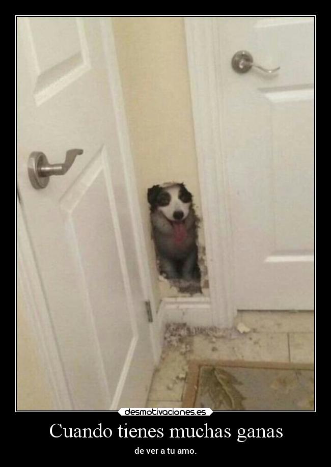 Cuando tienes muchas ganas -