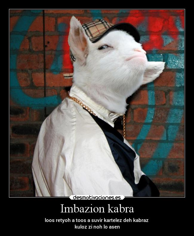 Imbazion kabra - 