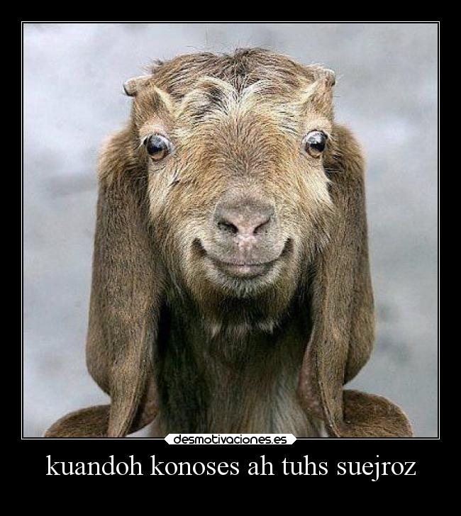 kuandoh konoses ah tuhs suejroz -