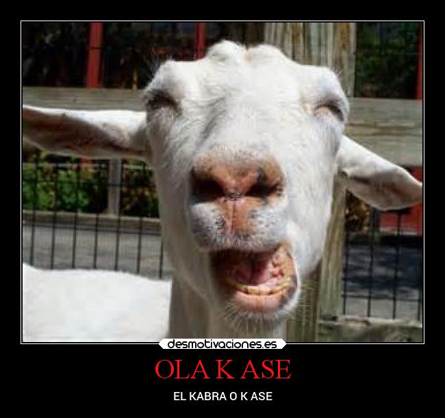 OLA K ASE -