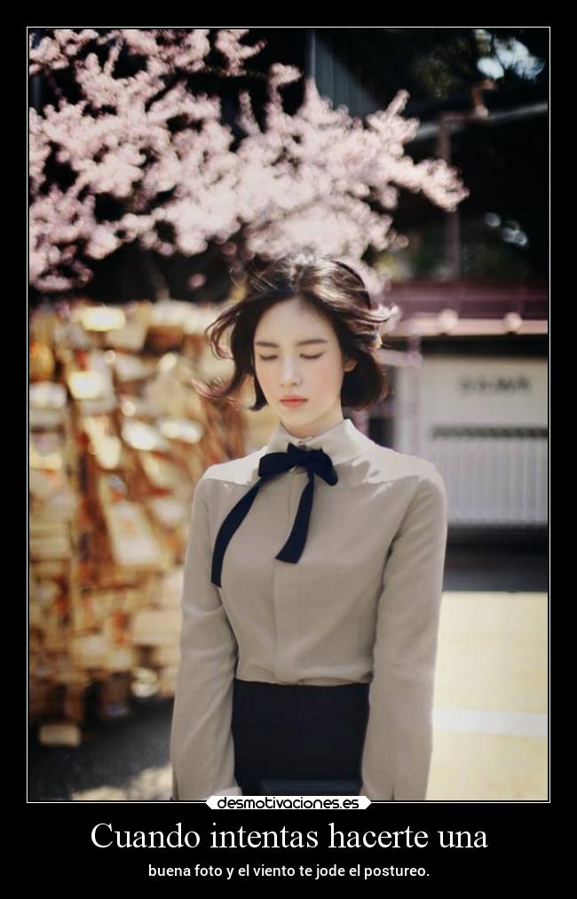 carteles humor desmotivaciones