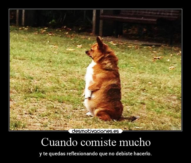 Cuando comiste mucho - y te quedas reflexionando que no debiste hacerlo.