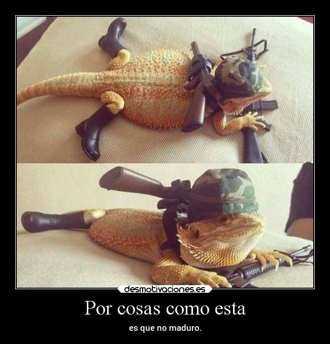 Por cosas como esta - es que no maduro.