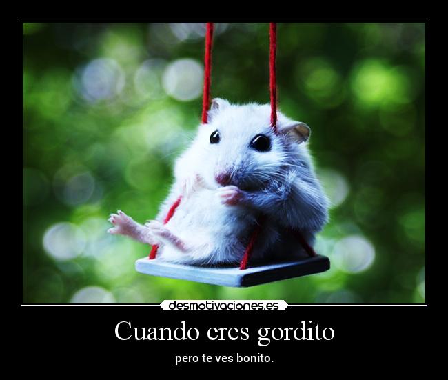 Cuando eres gordito - pero te ves bonito.