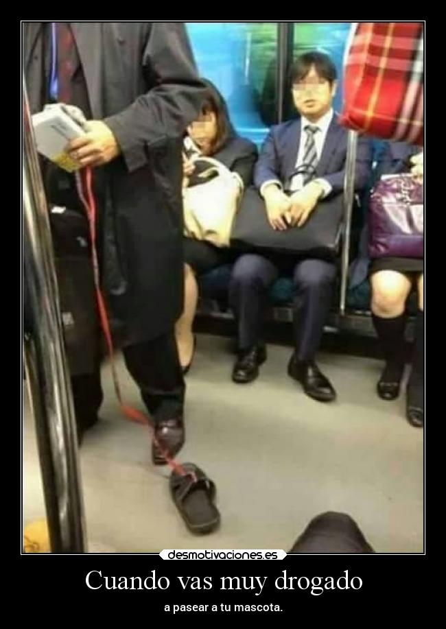 Cuando vas muy drogado - a pasear a tu mascota.