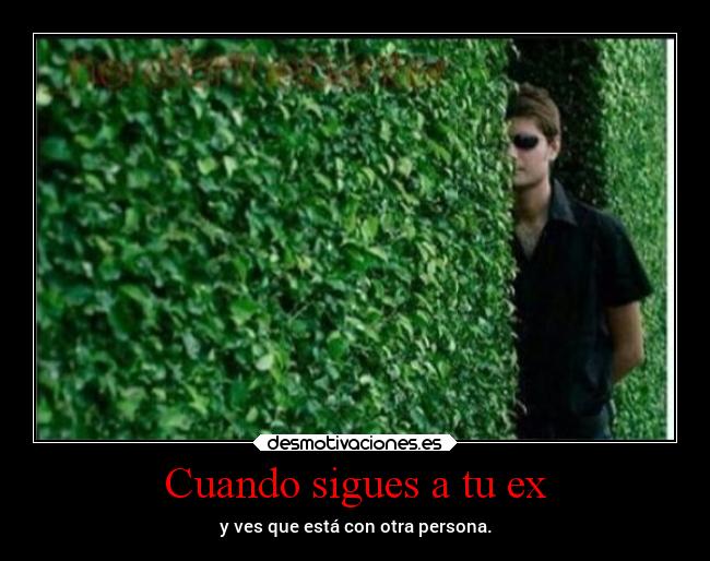 carteles humor superclan soyunidiotatm lossupervivientes desmotivaciones