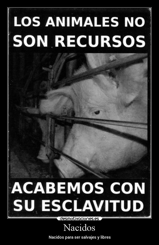 carteles libertad animales desmotivaciones