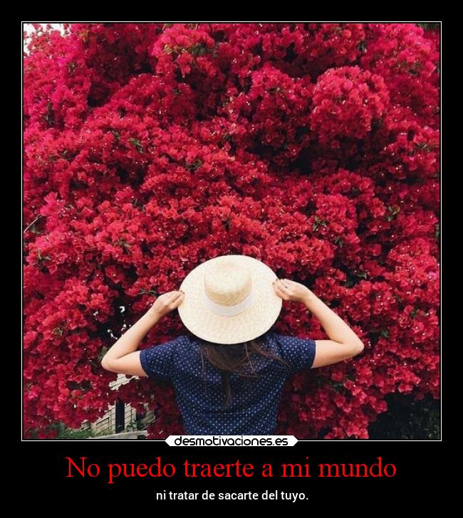 No puedo traerte a mi mundo - 