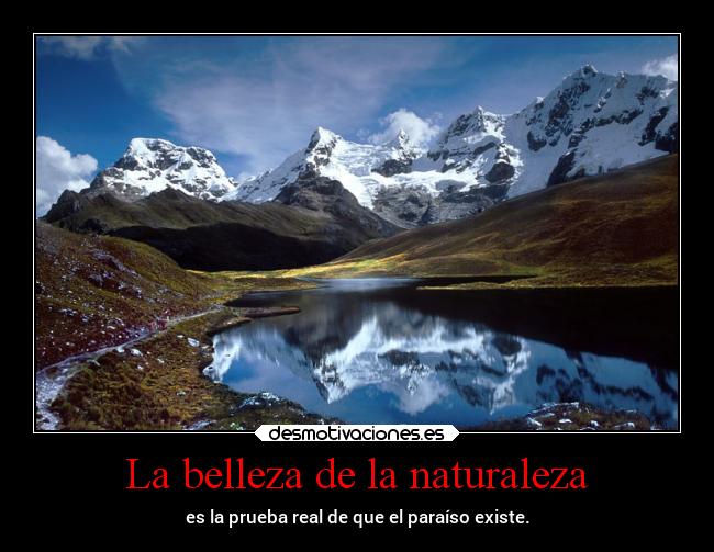 carteles naturaleza motivaciones naturaleza ownhz desmotivaciones