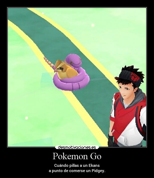 Pokemon Go - Cuándo pillas a un Ekans
a punto de comerse un Pidgey.