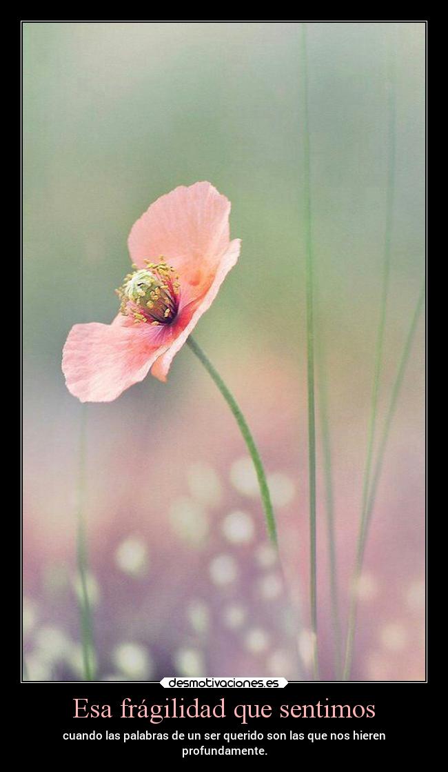 Esa frágilidad que sentimos - cuando las palabras de un ser querido son las que nos hieren
profundamente.