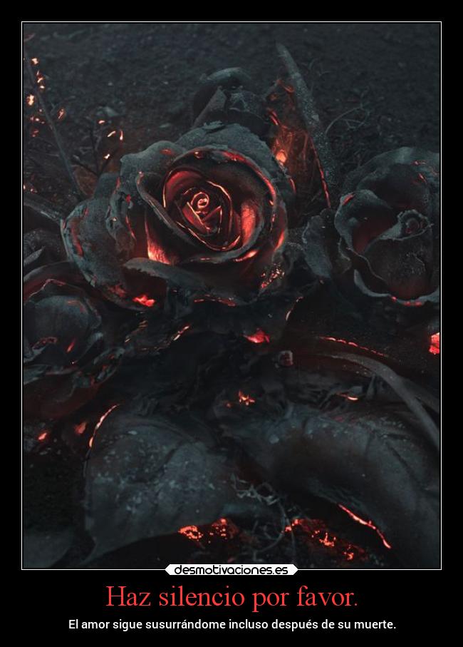 Haz silencio por favor. - El amor sigue susurrándome incluso después de su muerte.
