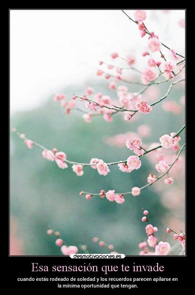Esa sensación que te invade - cuando estás rodeado de soledad y los recuerdos parecen apilarse en
la mínima oportunidad que tengan.