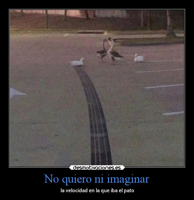 No quiero ni imaginar - la velocidad en la que iba el pato
