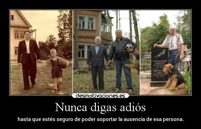 Nunca digas adiós -