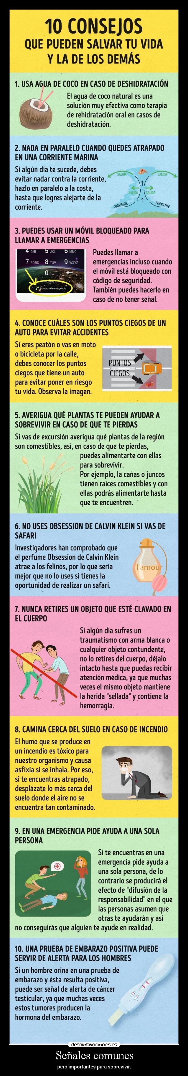 Señales comunes - pero importantes para sobrevivir.