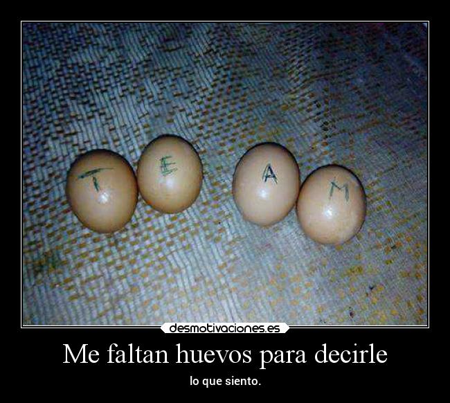 Me faltan huevos para decirle - lo que siento.