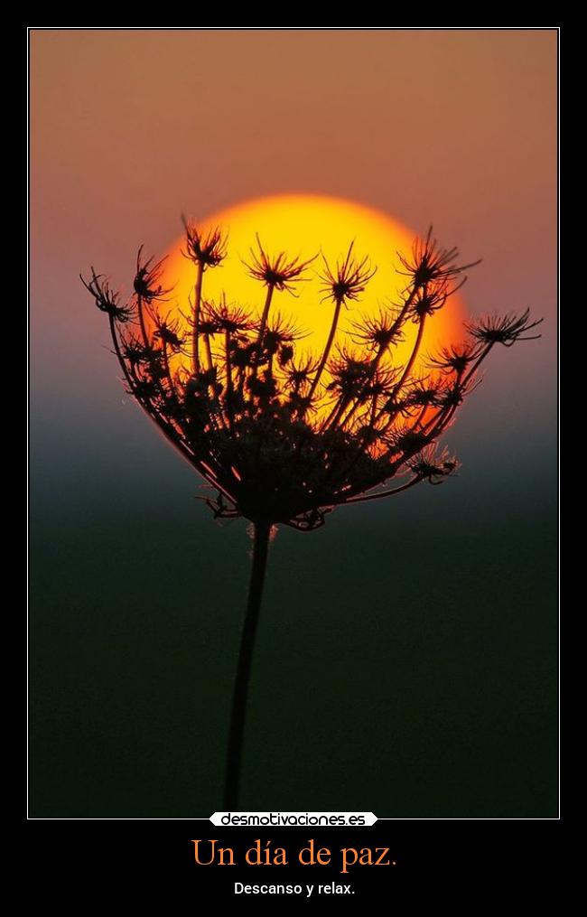 Un día de paz. -