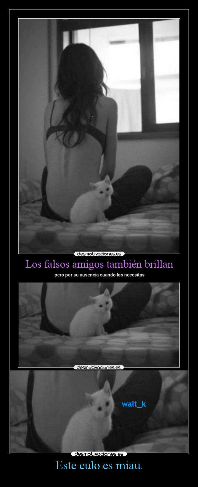 Este culo es miau. -