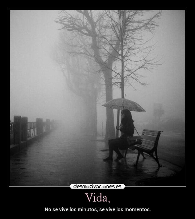Vida, - No se vive los minutos, se vive los momentos.
