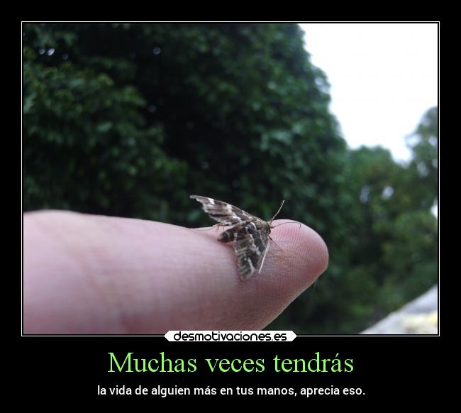 carteles vida desmotivaciones