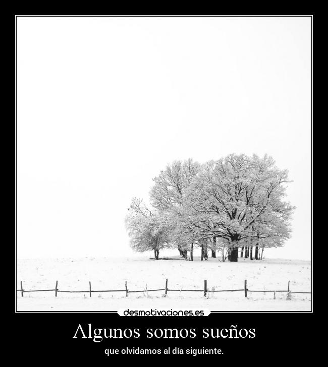 Algunos somos sueños - 