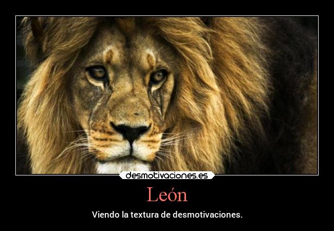 León - Viendo la textura de desmotivaciones.