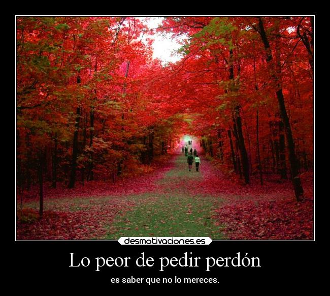 Lo peor de pedir perdón - 