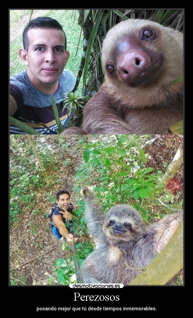 carteles vida desmotivaciones