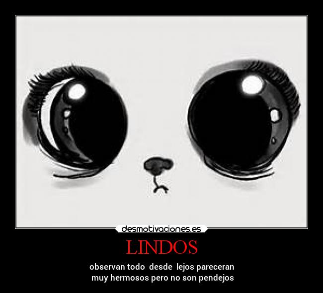 LINDOS - 