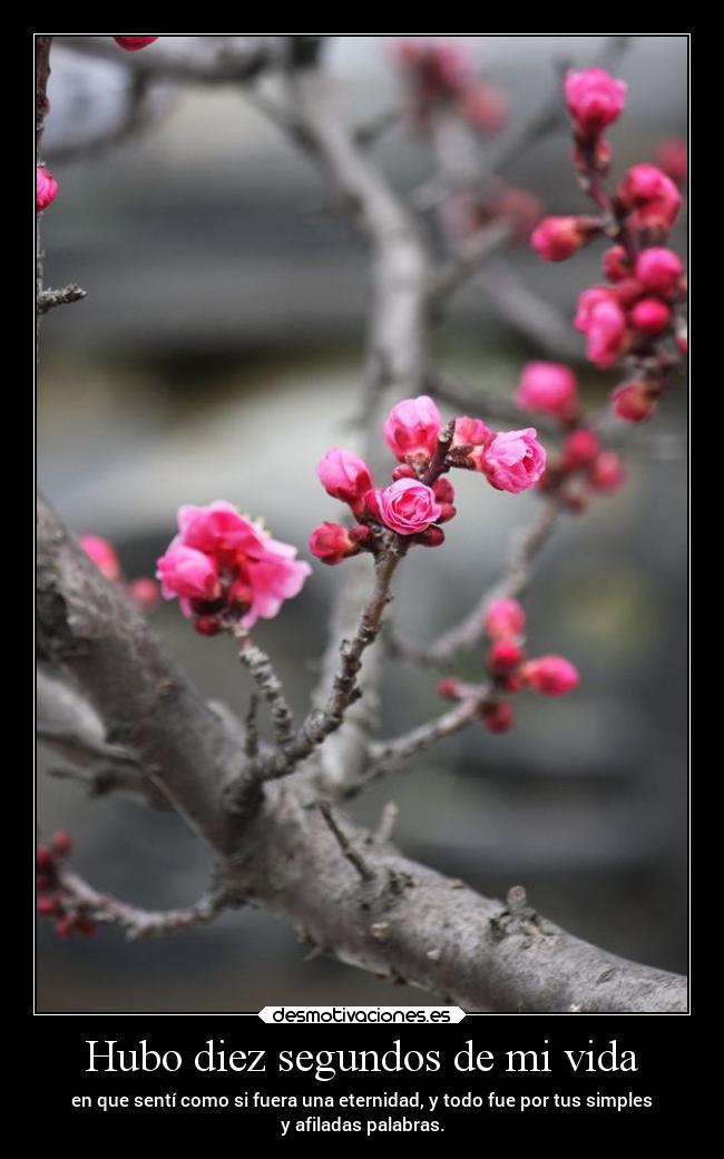 Hubo diez segundos de mi vida - en que sentí como si fuera una eternidad, y todo fue por tus simples
y afiladas palabras.