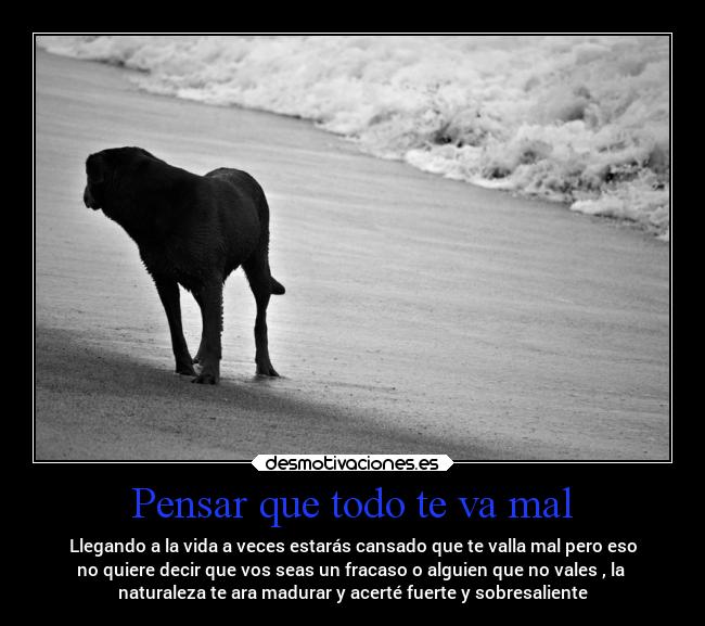 Pensar que todo te va mal - Llegando a la vida a veces estarás cansado que te valla mal pero eso
no quiere decir que vos seas un fracaso o alguien que no vales , la
naturaleza te ara madurar y acerté fuerte y sobresaliente