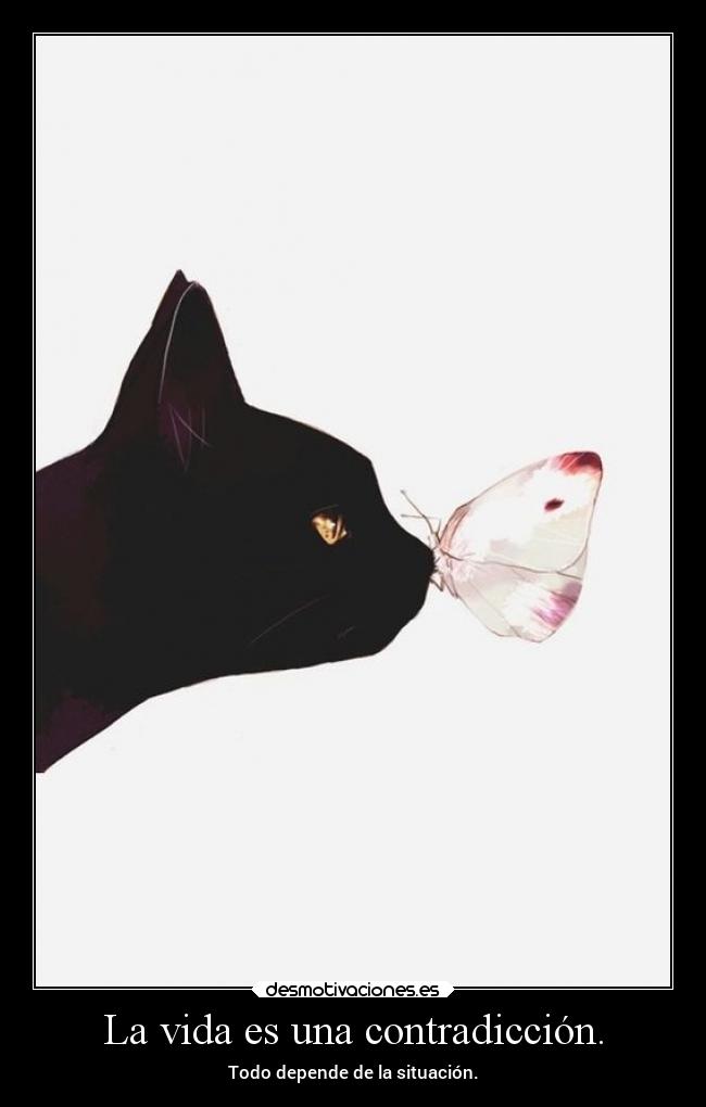 La vida es una contradicción. -