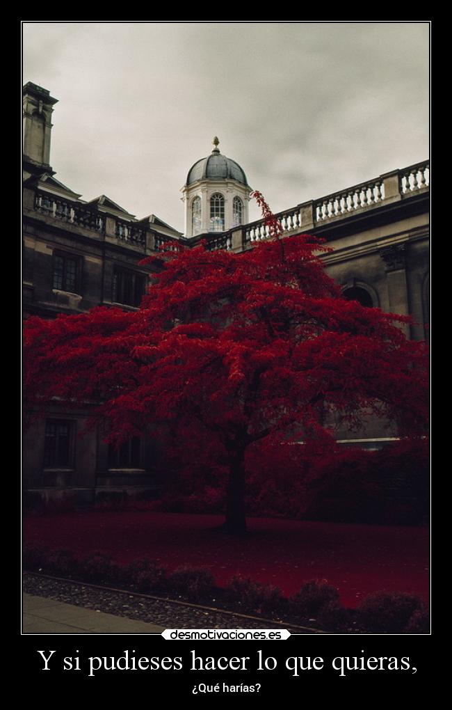carteles vida yoseriaunarbolrojoomorado desmotivaciones
