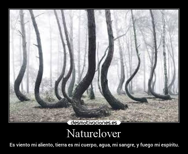 Naturelover - Es viento mi aliento, tierra es mi cuerpo, agua, mi sangre, y fuego mi espíritu.